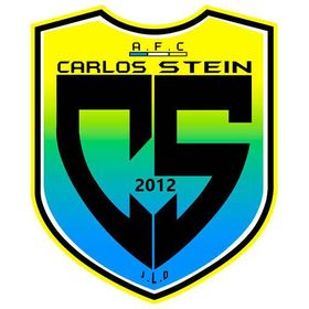 Carlos Stein