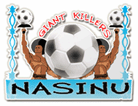 Resultado de imagem para Nasinu FC