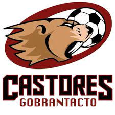 Castores Gobrantacto