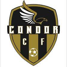 Cóndor