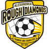 Alexandria Rough Diamonds