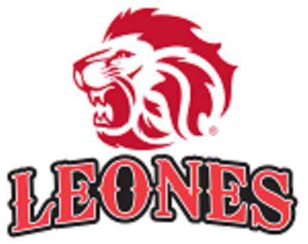 Leones de Santo Domingo